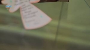 Новости ТВИН 04.09.2025