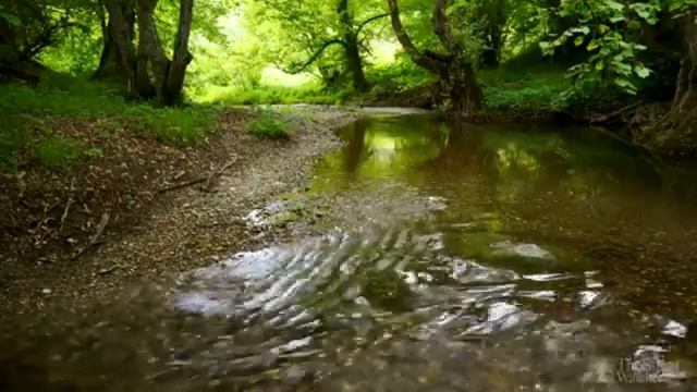 Сура 2 "Аль-Бакара" красивое чтение Корана смотреть онлайн