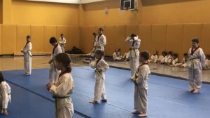 Зеленый пояс Тхэквондо вт #тхэквондо #аттестация #taekwondo #tkd #зеленыйпояс #детиспорт
