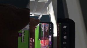 играю в укради брейнрота