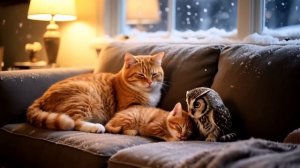 Мультик про кошку и котят -Маму-Кошку с котятами, попавшими в снежную бурю, приютила добрая девушка