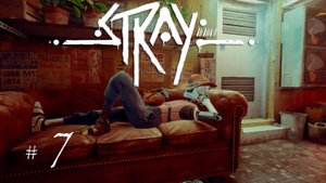 Stray #7 | Стать ниндзя