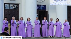 ВА "Белые лебеди" - Гармошка (Харцызск; 15.08.2025г.)