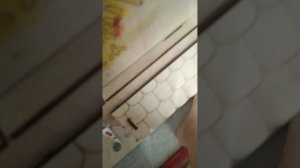 слушаюсь дабы бабы.