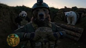 МИХАЛЫЧ С ДРУЗЬЯМИ ПОЕХАЛИ НА ПОЗИЦИЮ!!!!