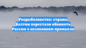 Росрыболовство: страны Балтии перестали обвинять Россию в незаконном промысле