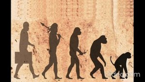 U.S. Presidents' Slide Into Reverse Evolution With Trump Nearing Bottom