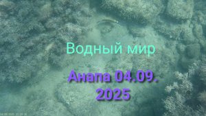 Анапа 04.09.2025 Водный мир