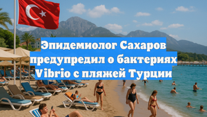 Эпидемиолог Сахаров предупредил о бактериях Vibrio с пляжей Турции