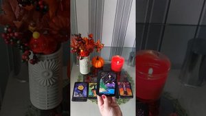 Обзор колоды Таро Деревьев