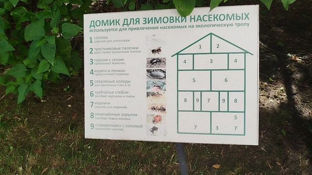 Дарвиновский музей в Москве смотреть онлайн