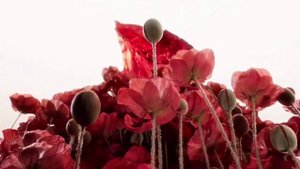 Beats официально представила лимитированные Solo 4 в коллаборации с певицей JENNIE