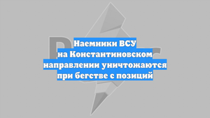 Наемники ВСУ на Константиновском направлении уничтожаются при бегстве с позиций