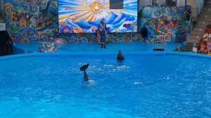 VID-20250826-WA0059.mp4