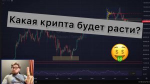 Какая крипта будет расти осенью?
