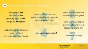 Этапы участия в госзакупках | Инструкция для тендера 44-ФЗ 223-ФЗ