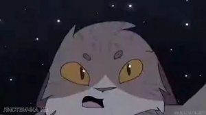 Коты воители: {Клип} "Камин"