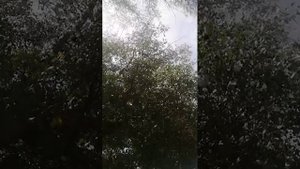 мы на рыбалке.