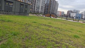 Реализация проекта парка/променада/площадок Setl Sity Светлана Парк, Панорама парк Сосновка 04.09.25