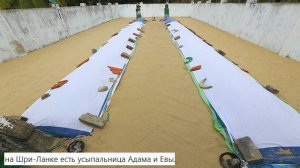 Ответы на Вопросы по Эзотерике от 04.09.25 Часть 4