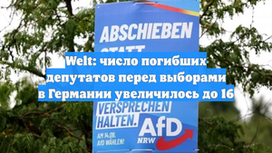 Welt: число погибших депутатов перед выборами в Германии увеличилось до 16
