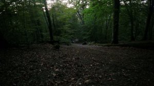 DJI_0084