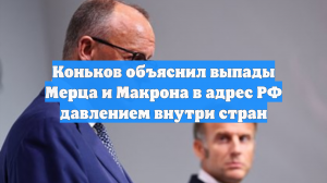 Коньков объяснил выпады Мерца и Макрона в адрес РФ давлением внутри стран