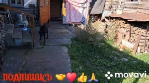 1000010696.mp4.   🖋️🚀   СЕЛЬСКАЯ ЖИЗНЬ💃🔥 МОИ БУДНИ 🖋️🚀