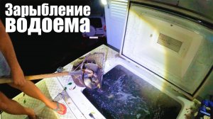 Зарыбление водоема "Новая рыбалка" в Белгороде. 1 тонна карпа!