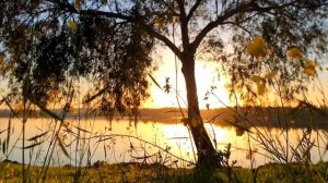 Частота исцеления. Расслабляющая атмосфера сентября. Терапия ранней осенью у тихого озера