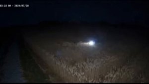 Появление Кругов На Полях