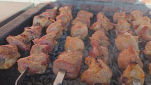 Шашлык из свинины, замаринованный в йогурте.