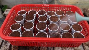 Как сделать гидропонику самому из пластиковых труб