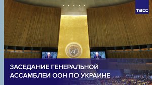 Заседание Генеральной Ассамблеи ООН по Украине