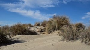 2025_05_04_Обсуждение_Уважение_К_Храму_И_Церковная_Гордость