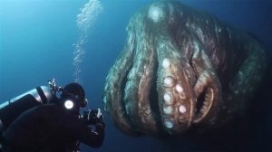 Music and videos created by AI