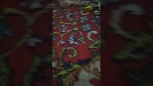 напали на бухты переключения щенячий патруль спасает мир 😰😨