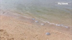 ПЕРЕСЫПЬ Азовское море Темрюкский район сегодня 4 сентября 2025. Обстановка на пляже, погода сейчас