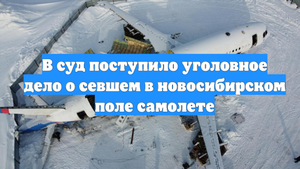 В суд поступило уголовное дело о севшем в новосибирском поле самолете