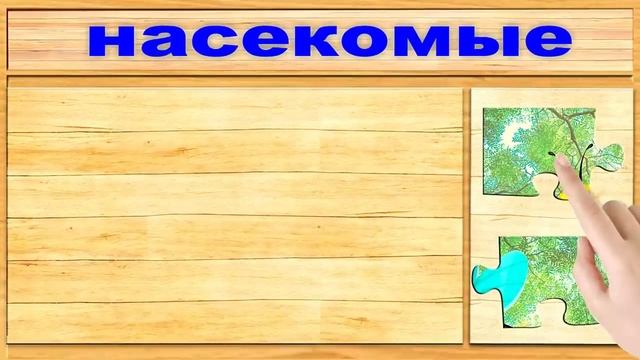 Насекомые для детей 🐝 Учим насекомых 🐞 Насекомые звуки 🕷 Развивающие