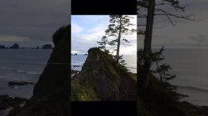 Что значит жить