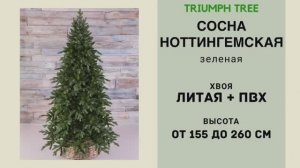 Triumph Tree - ОБЗОР искусственной сосны Ноттингемская зеленая
