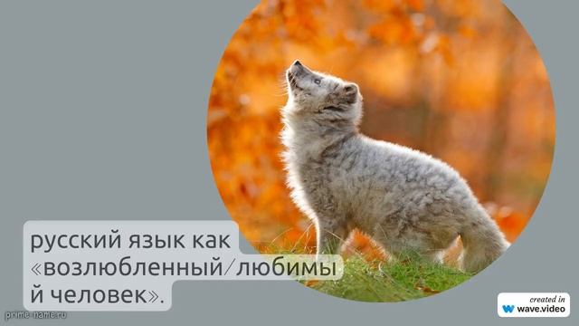 Фамилия Адулас: исследуем происхождение, историю, значение и правила склонения