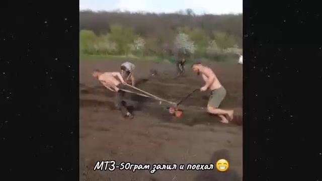 Приколы 2025 #019