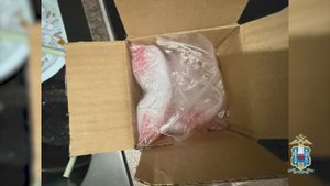 Ростовские оперативники задержали пятерых мужчин, наладивших сбыт наркотиков в 3 даркнет-магазинах