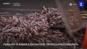 Рыбалку и ялики в Балаклаве пообещали сохранить