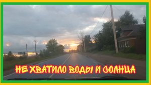 29/8 25 ДОЖДЬ И СОЛНЦЕ. УБРАЛА ПОМИДОРЫ. НАМ ХВАТИТ. ОСТАВИМ ДО ВЕСНЫ.