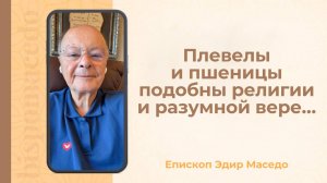 Плевелы и пшеницы подобны религии и размуной вере... - Слово веры епископа Маседо 05/09/2025