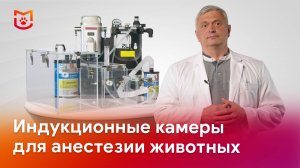 Индукционные камеры для анестезии животных: как работает устройство?
