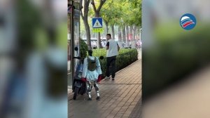 Машины против людей: робот-боксер напал на человека